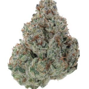 Exotic Flower Premium – Papaburger Hybrid (1 qp)