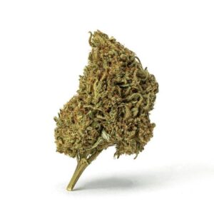 Exotic Flower Premium – Nytro Hybrid (1 qp)