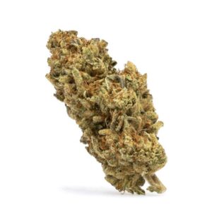 Exotic Flower Premium – Northern Lights Indica (1 qp)