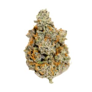 Exotic Flower Medellin Edition – Plasma Gas Hybrid (1 qp)