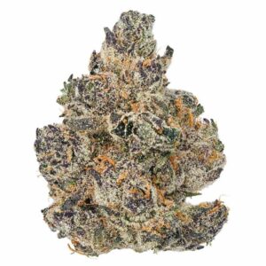 Exotic Flower – Lazer Hybrid