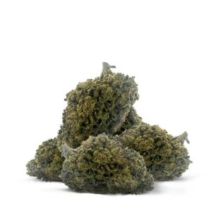 Exotic Flower Medellin Edition – Fire OG Hybrid (1 qp)