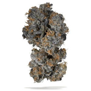 Exotic Flower – Hazardous Sativa (1 qp)