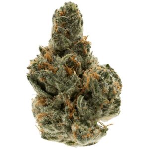 Exotic Flower Premium – Granddaddy Purple Indica (1 qp)