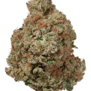 Exotic Flower Higharchy – Italian Ice Hybrid (1 qp)